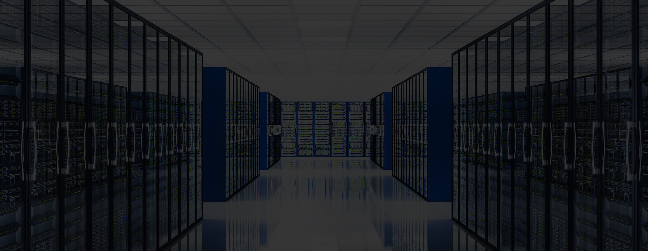 Colocation server & data center